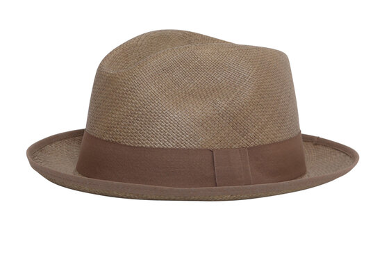 Panama Hat Aguacate Gris