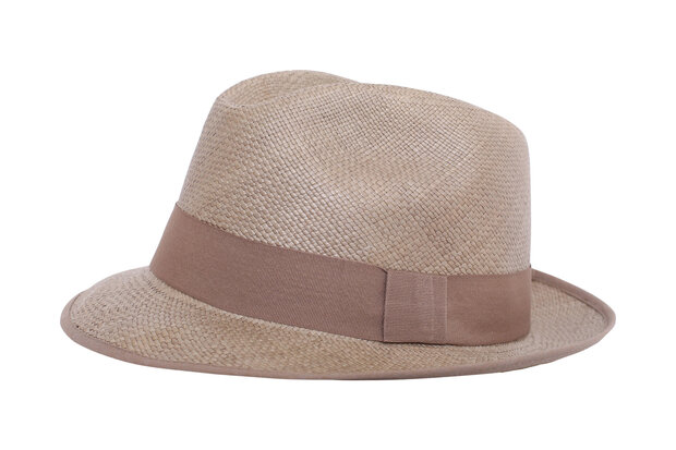 Panama Hat Aguacate Gris